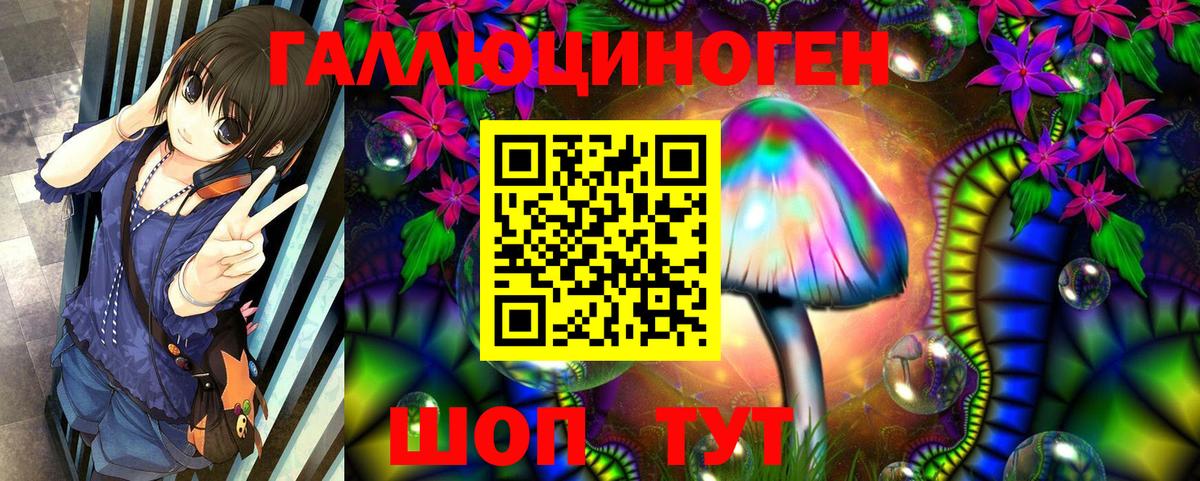 Лыткарино  Псилоцибиновые грибы прущие грибы  хочу   Вход с VPN 